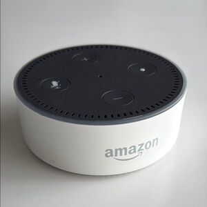 Amazon Echo Dot Voice-Controlled Speaker in Black and White